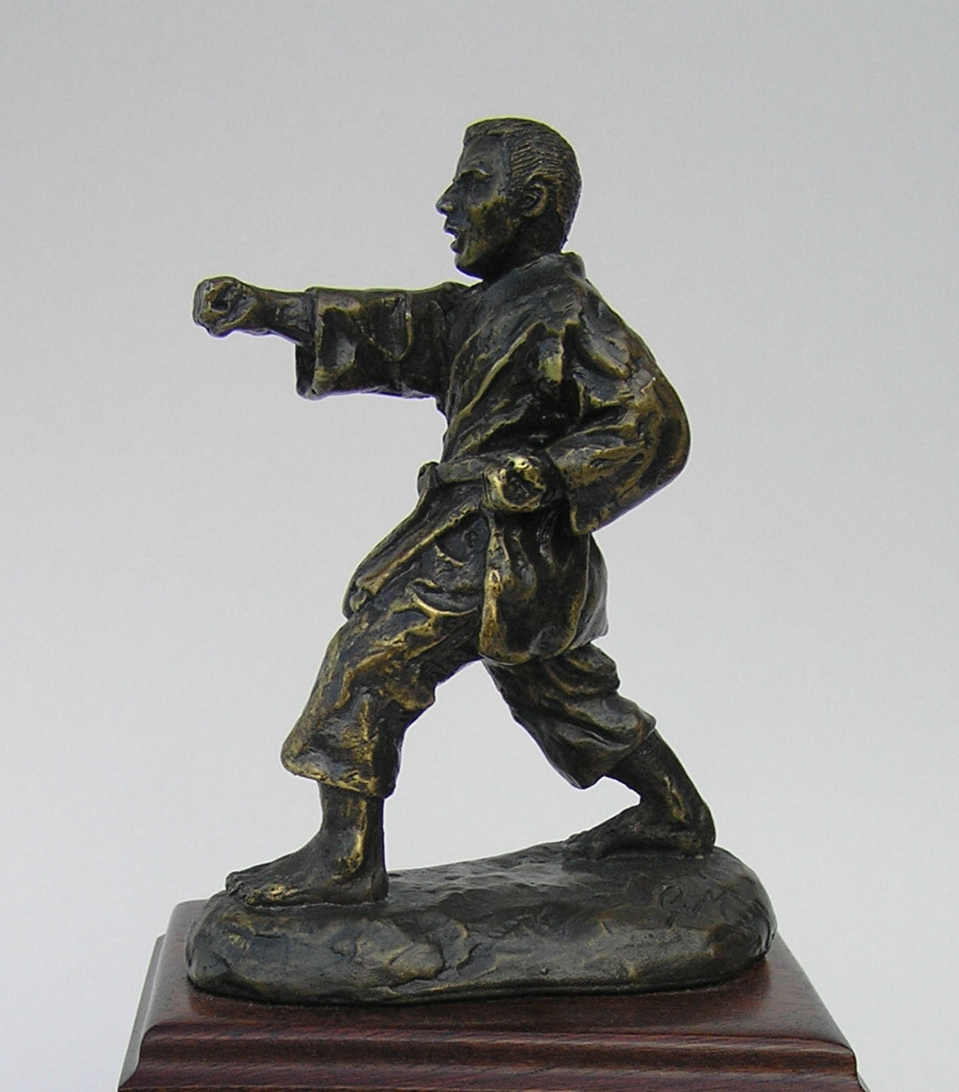 MARTIAL ARTIST PUNCH