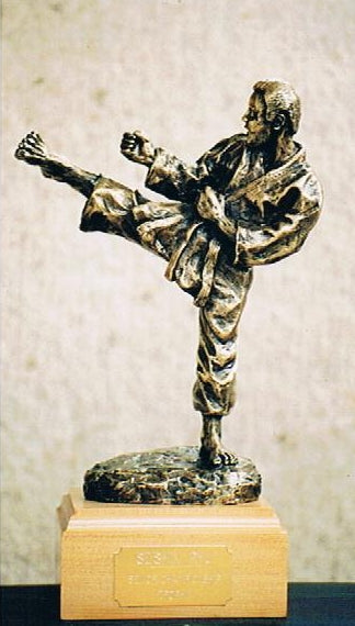 MARTIAL ARTIST KICK